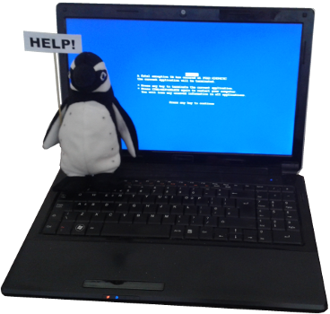 Penguin needing computer help